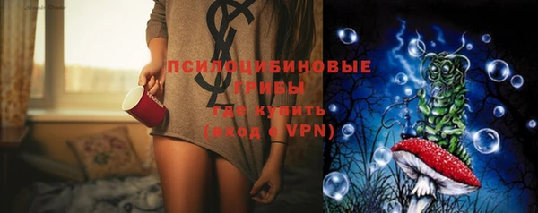 стаф Верхний Тагил