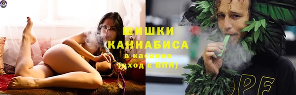 мдпв Верея